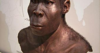 Foreground: A representation of Homo erectus. Background: Possible migration routes out of Africa
