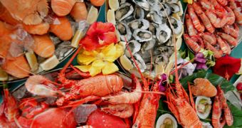 Mercury Pollution Found to Contaminate Seafood