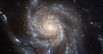 Galaxies first evolve by accumulating mass from their surroundings