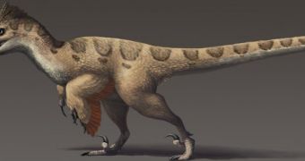 Early Cretaceous dromaeosaurs such as the famous Utahraptor most likely had very bright plumages