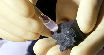 Meteorite Carries Millions of Organic Compounds