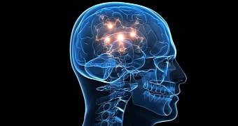 Study finds evidence chronic meth use shrinks the brain