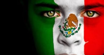 Hackers deface Mexican government sites