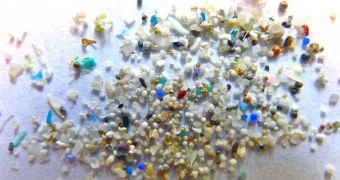 California moves to ban the sale of cosmetics, beauty products containing microbeads