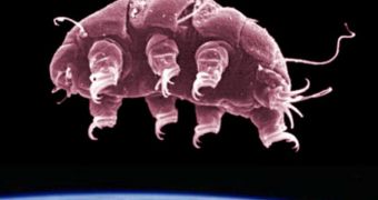 Rendition of a tardigrade in space. The organism can reduce its metabolism by a factor of 10,000 if needed