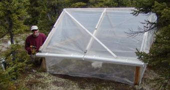 Biologist Steven Allison in Alaskan forest, maintaining a greenhouse warming experiment