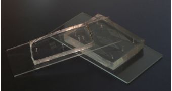 Image showing the basic appearance of a microfluidic device