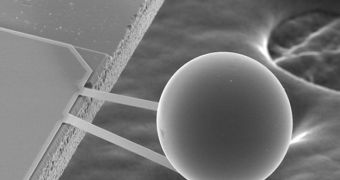 Measuring slightly over one tenth of a millimeter, the ball moves toward a smooth plate in response to energy fluctuations in the vacuum of empty space. The attraction is known as the Casimir Effect