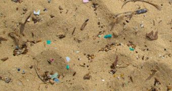 Study finds microplastics are a bigger threat to marine organisms than previously believed