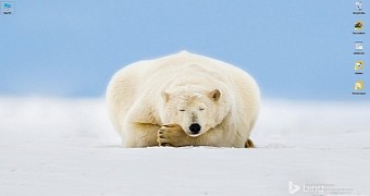 Bing's polar bear wallpaper on Windows 10