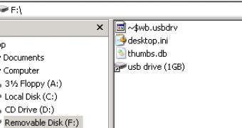 Gamarue files on removable drive