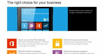 Windows Phone business hub