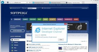 IE Developer Channel is only recommended for developers