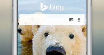 Bing home screen