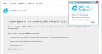 Downloading Internet Explorer 11 with Internet Explorer 11