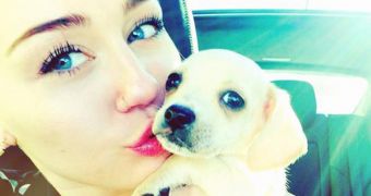Miley Cyrus welcomes new puppy in her life (click to see full image)