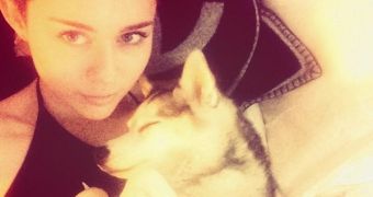 Miley Cyrus is still trying to get in touch with Floyd, her dead dog, by means of an animal psychic
