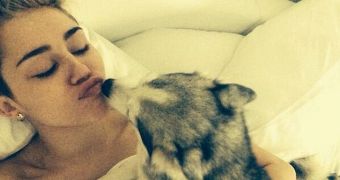 Miley Cyrus can't take the heartbrake, gives up new dog as she still mourns loss of Floyd