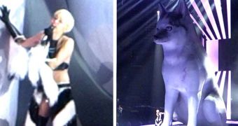Miley Cyrus sings near a giant statue of her dead dog in her latest concert