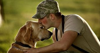 PTSD suffering military dogs need special care, veterinarians say