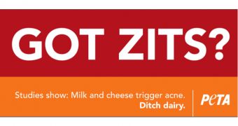 Milk and dairy give teens zits, PETA says