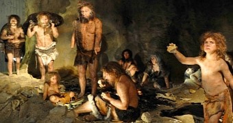 Neanderthals were no strangers to division of labor