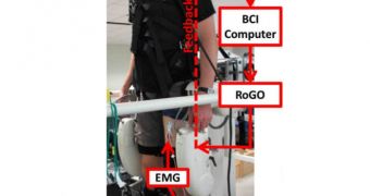 Mind-Controlled Prosthetic Leg in the Works