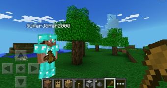 Minecraft: Pocket Edition for Windows Phone is a possibility