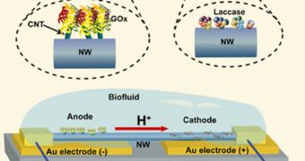 Miniature Fuel Cells Produces Energy from Biofluids