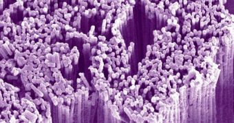 Nanowires on a silicon chip