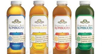 “There is little scientific evidence available in the literature to support the beneficial effects” of Kombucha tea, nutritionist says