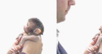 Primates have mirror neurons too. Demonstrated here is the reaction of a newborn macaque monkey to a researcher's gesture