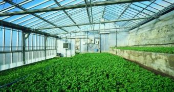Greenhouse mirrors could also be used to counteract global warming