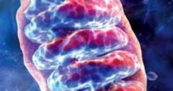 Damages to mitochondria may underlie conditions such as autism and bipolar disorder