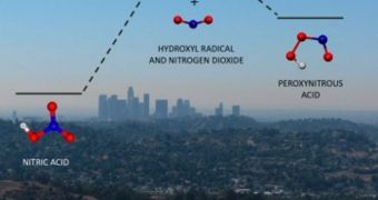 Nitrogen dioxide and the hydroxyl radical combine in the atmosphere to make either nitric acid or peroxynitrous acid