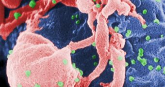 A dye-sensitive picture of the HIV virus, attacked by immune system cells
