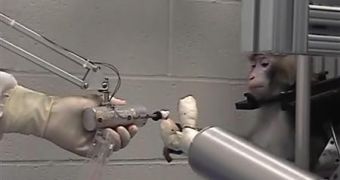 Monkey moves robotic arm with brain-power alone