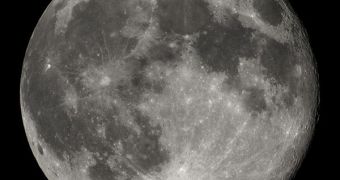 Without a Moon, life on Earth may have still existed exclusively in puddles and mud