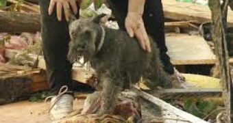 Barbara Garcia finds her dog alive in Moore