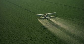 A cropduster spraying pesticide on a field, in California