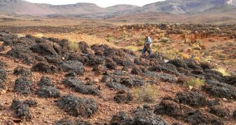 Scientist Janet Siefert walks in a field of fossilized stromatolites, evidence of an ancient lagoon