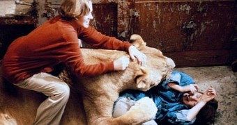Most Dangerous Movie Ever Made, “Roar,” with Melanie Griffith and Tippi Hedren, Is Out