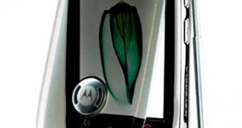 The Ming, one of Motorola's touchscreen phones