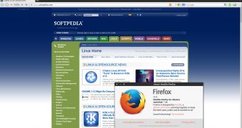 Firefox in Ubuntu 14.04