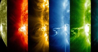 SDO multi-wavelength view of an X4.9-class solar flare that erupted from the Sun on February 24, 2014