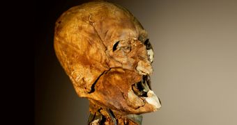 DNA tests suggest head identified as Henry IV's does not belong to the late French king after all
