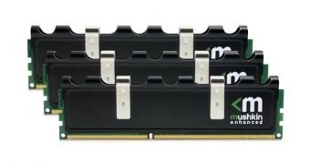 Mushkin introduced high-performance DDR3 memory kits