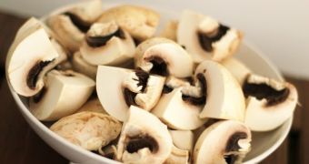 Mushrooms exposed to light contain high doses of vitamin D