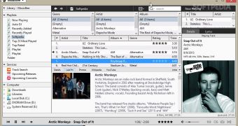 MusicBee Review: Audio Player for Large Music Collections