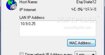 IP and MAC Addresses Revealed